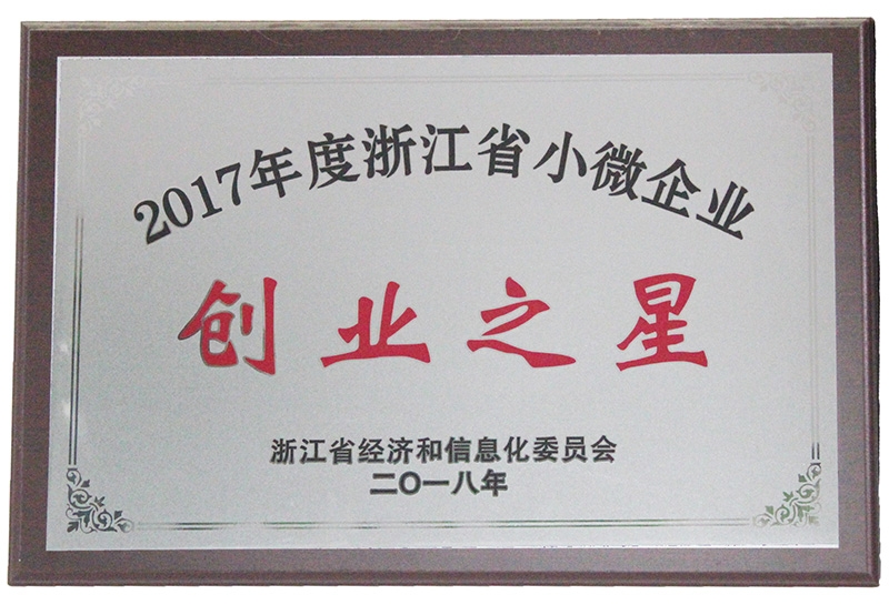 2017 STAR OF SMALL AND MICRO ENTERPRISES IN ZHEJIANG PROVINCE